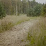 Nyaraló Oaas Puhkus With Free Sauna & Bbq *