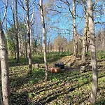 Nyaraló Oaas Puhkus With Free Sauna & Bbq