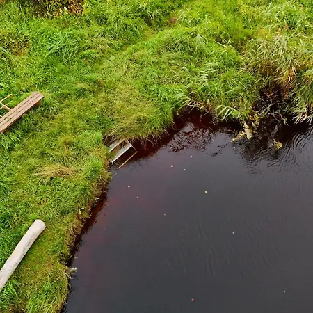 Dome & Sauna & River & Bbq * Turisalu