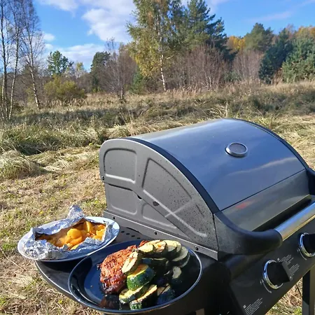 Σπίτι διακοπών Dome & Sauna & River & Bbq Turisalu