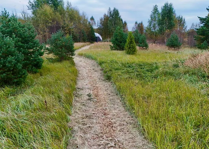 Dome & Sauna & River & Bbq