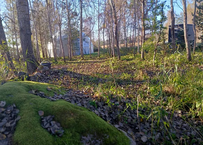 Dome & Sauna & River & Bbq Dom wakacyjny *