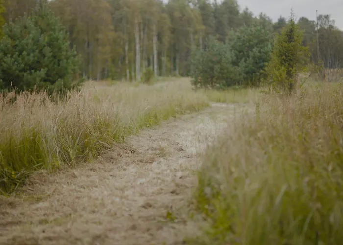 Dom wakacyjny Dome & Sauna & River & Bbq *