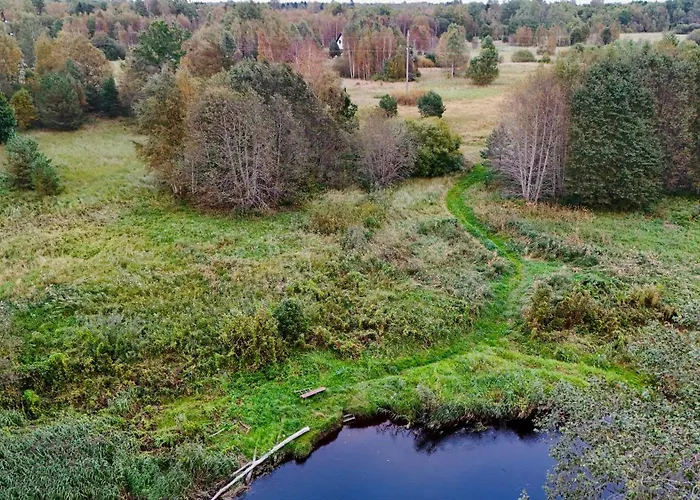 Dome & Sauna & River & Bbq