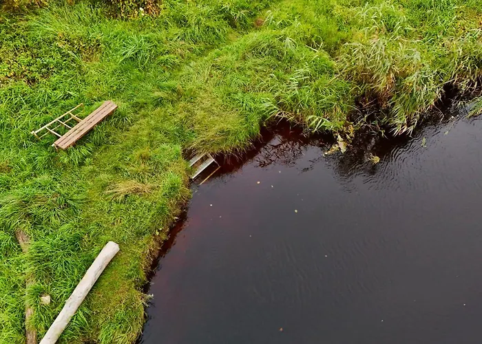 Dome & Sauna & River & Bbq * Turisalu