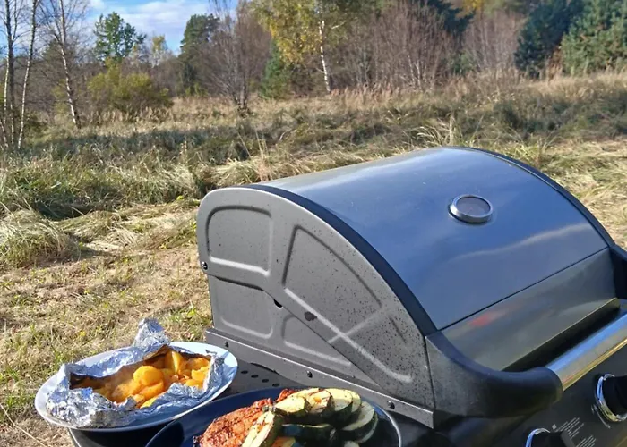 Dom wakacyjny Dome & Sauna & River & Bbq Turisalu