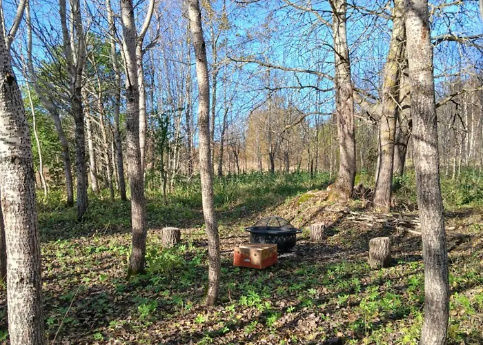 Dom wakacyjny Dome & Sauna & River & Bbq